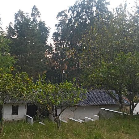 키토 Quinta Los Eucaliptos 빌라 외부 사진