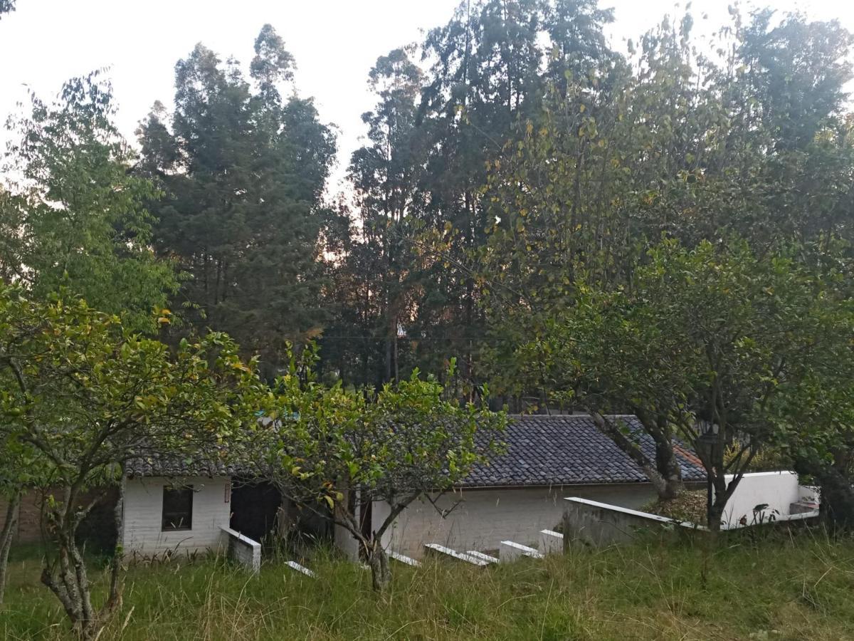 키토 Quinta Los Eucaliptos 빌라 외부 사진